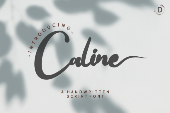 Caline: The Handwritten Font That Elevates Your Campaign Design
