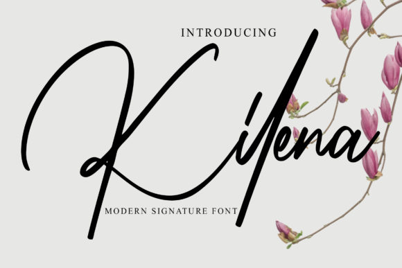 Kilena: A Sweet Script for Business Branding