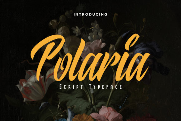 Polaria: A Stylish Handwritten Font for Creative Makers